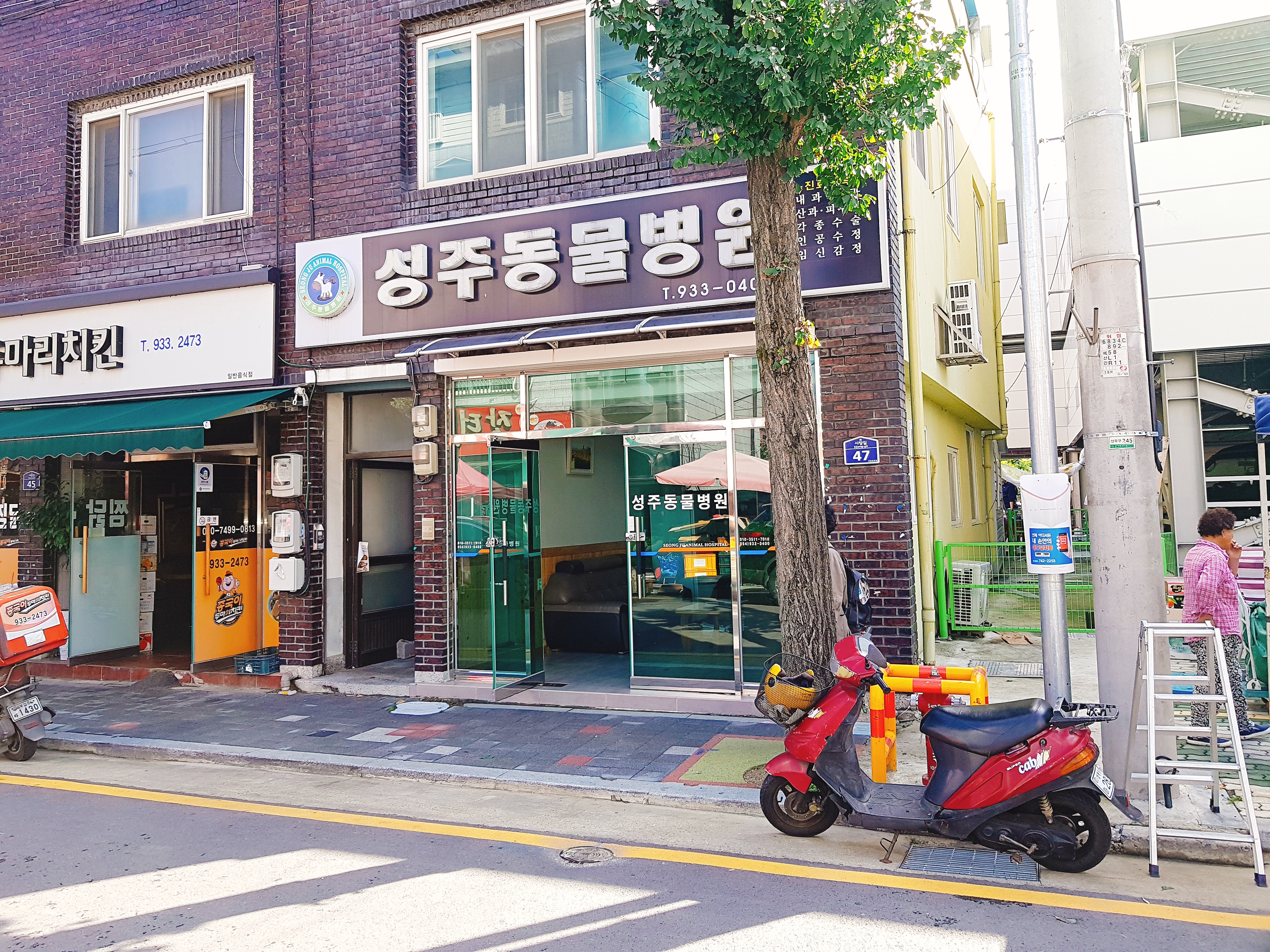 성주동물병원