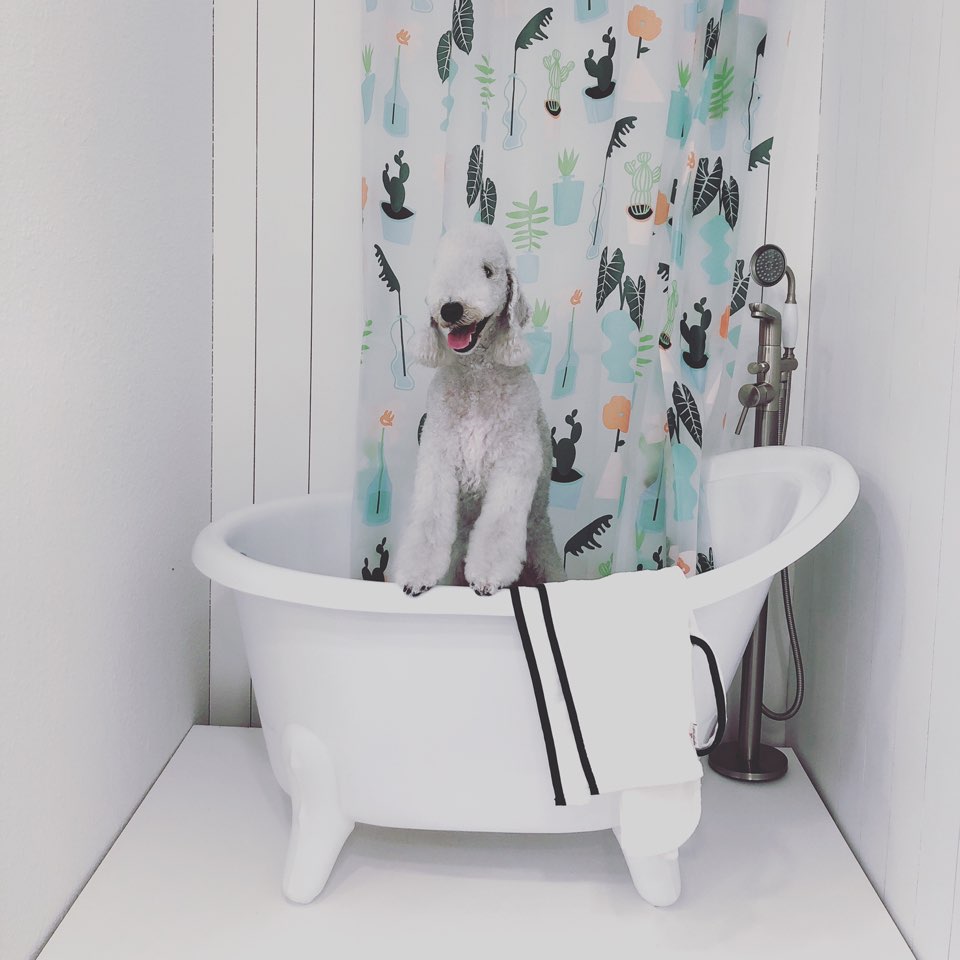 헬로우 프리티 대표 이미지