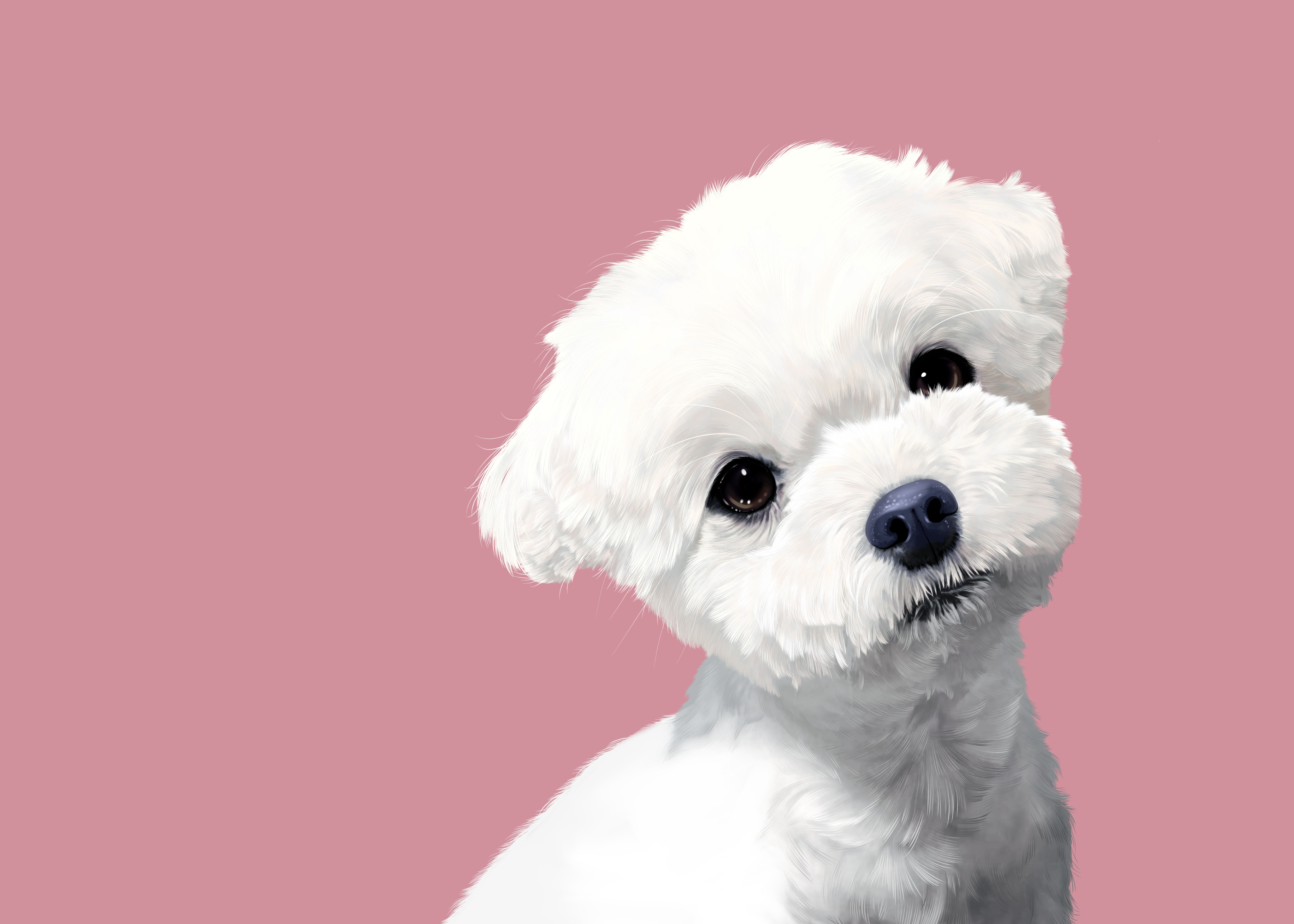 몽몽샵