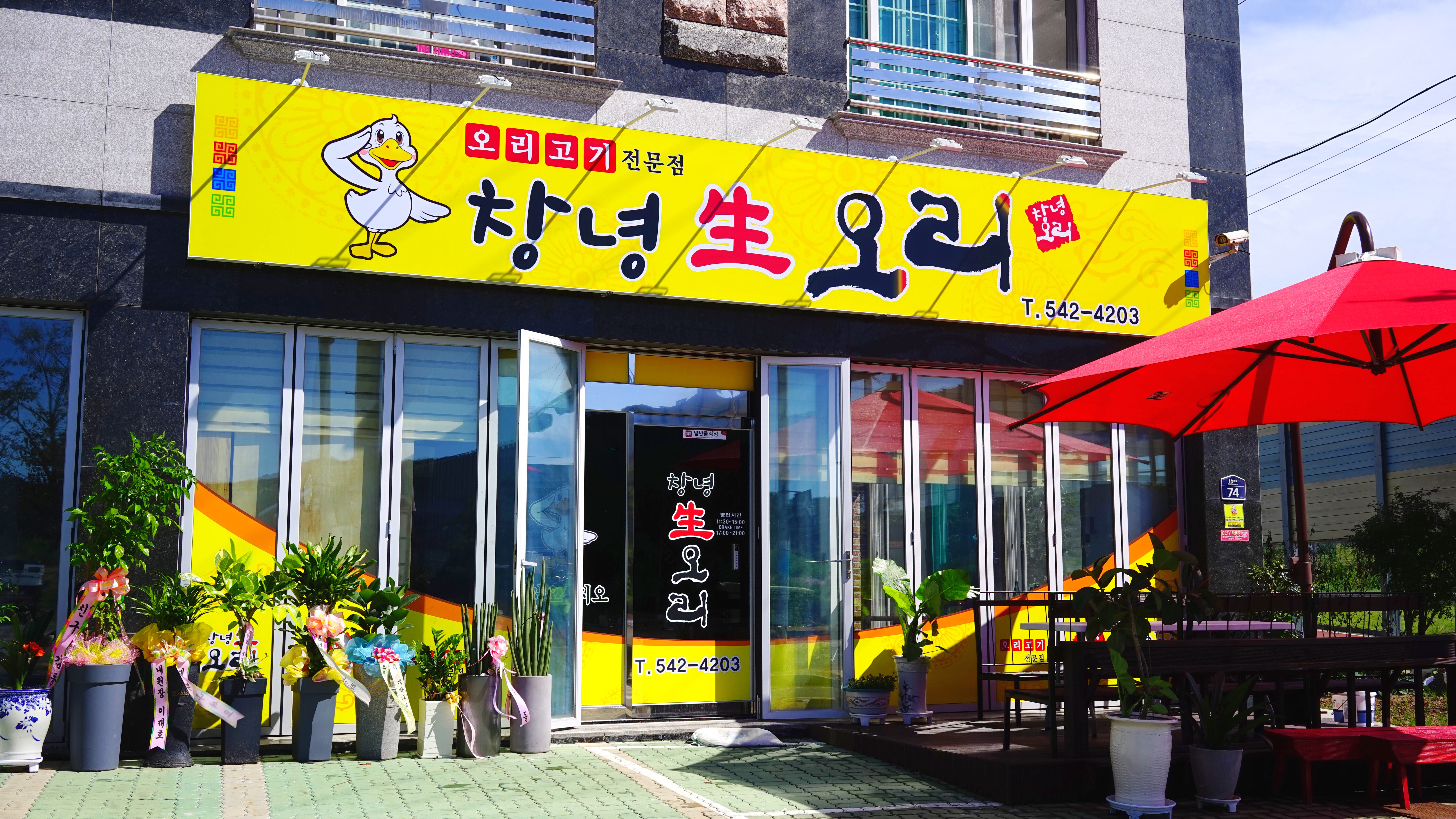 창녕생오리 이미지