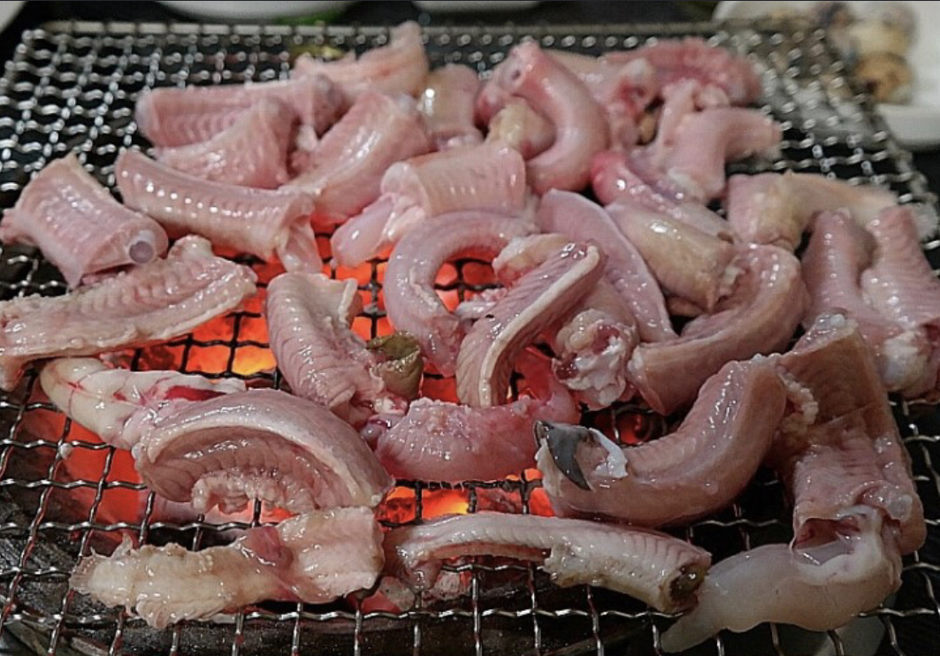 마산본장어