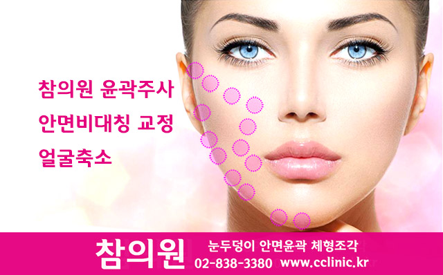 참의원 대표 이미지