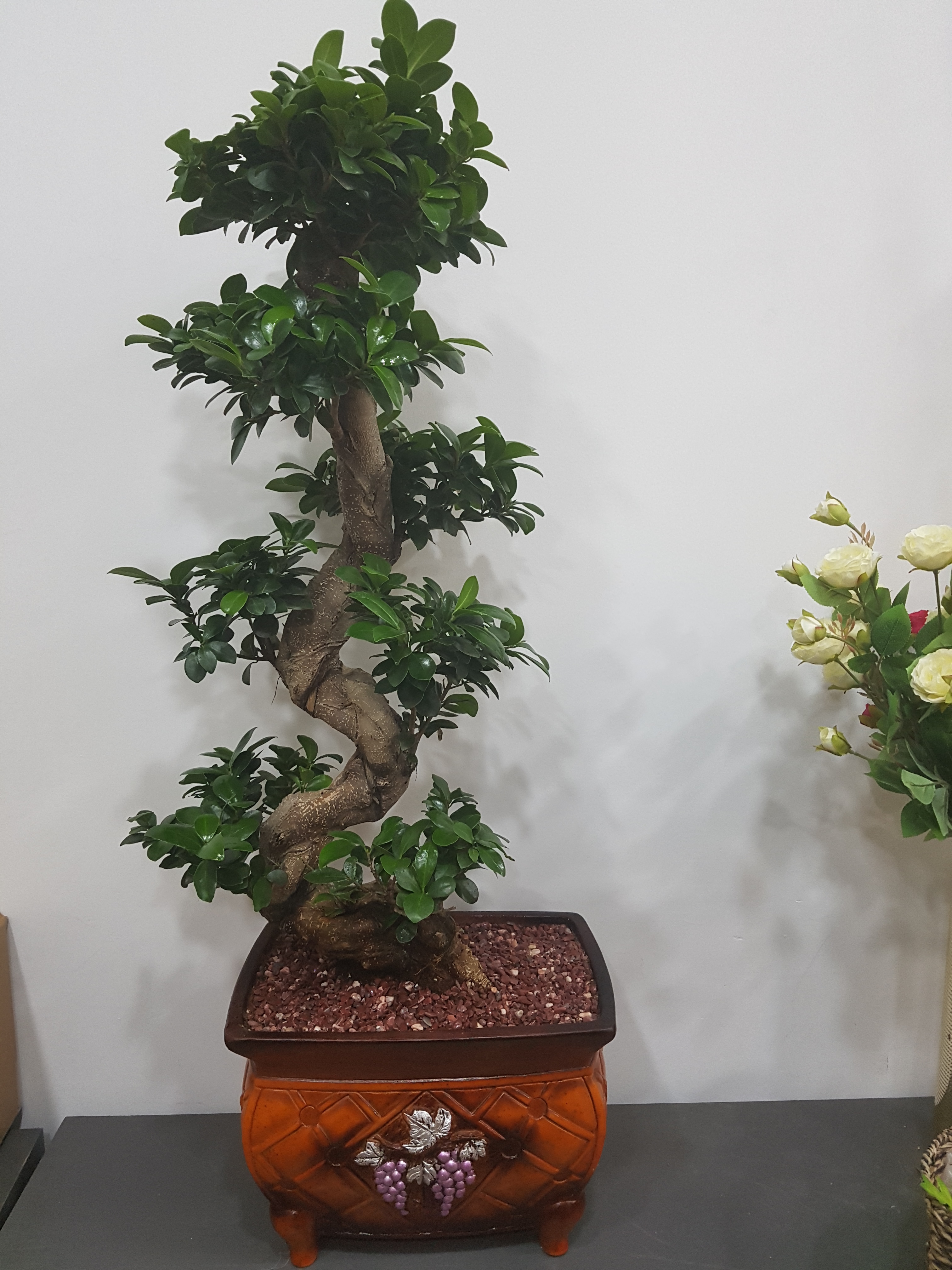 웰빙꽃화원