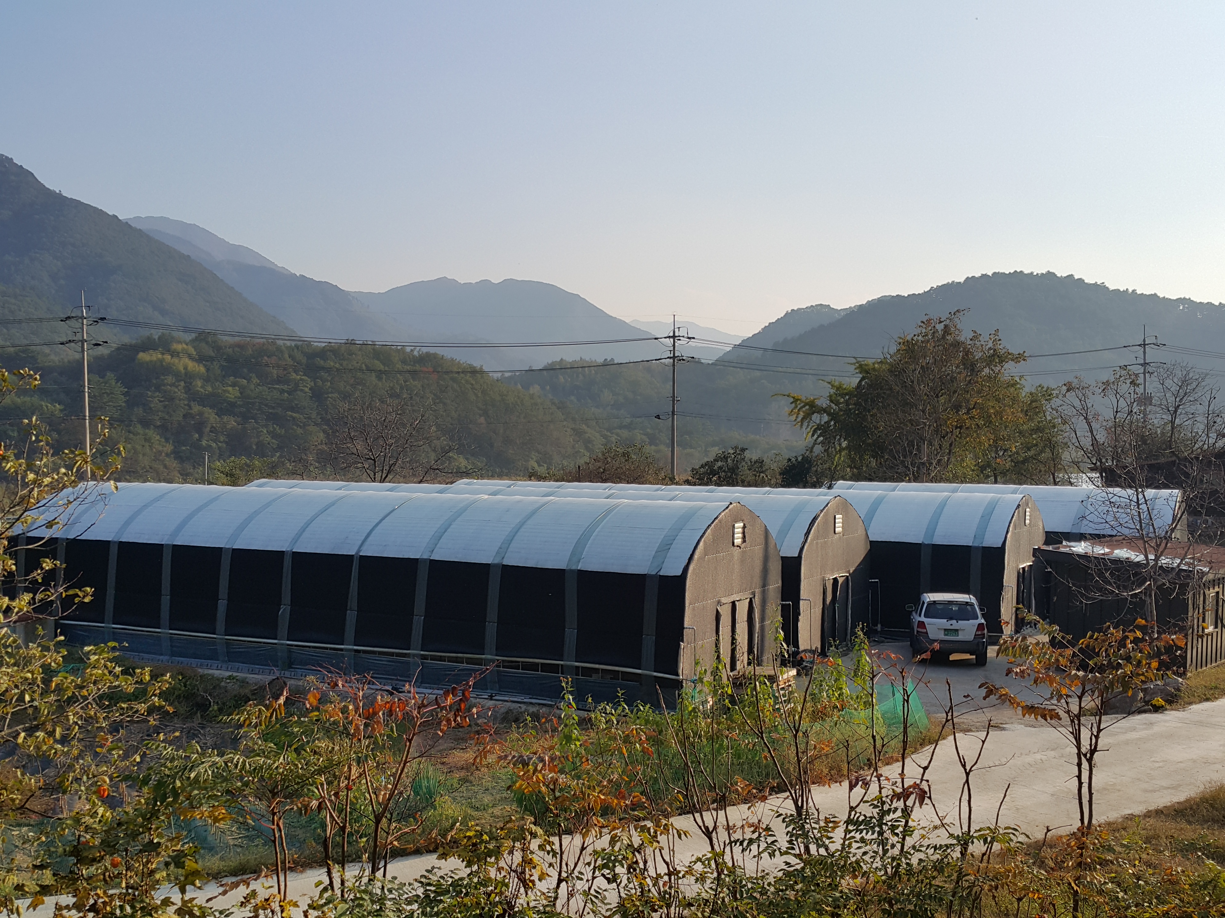 버섯조농장