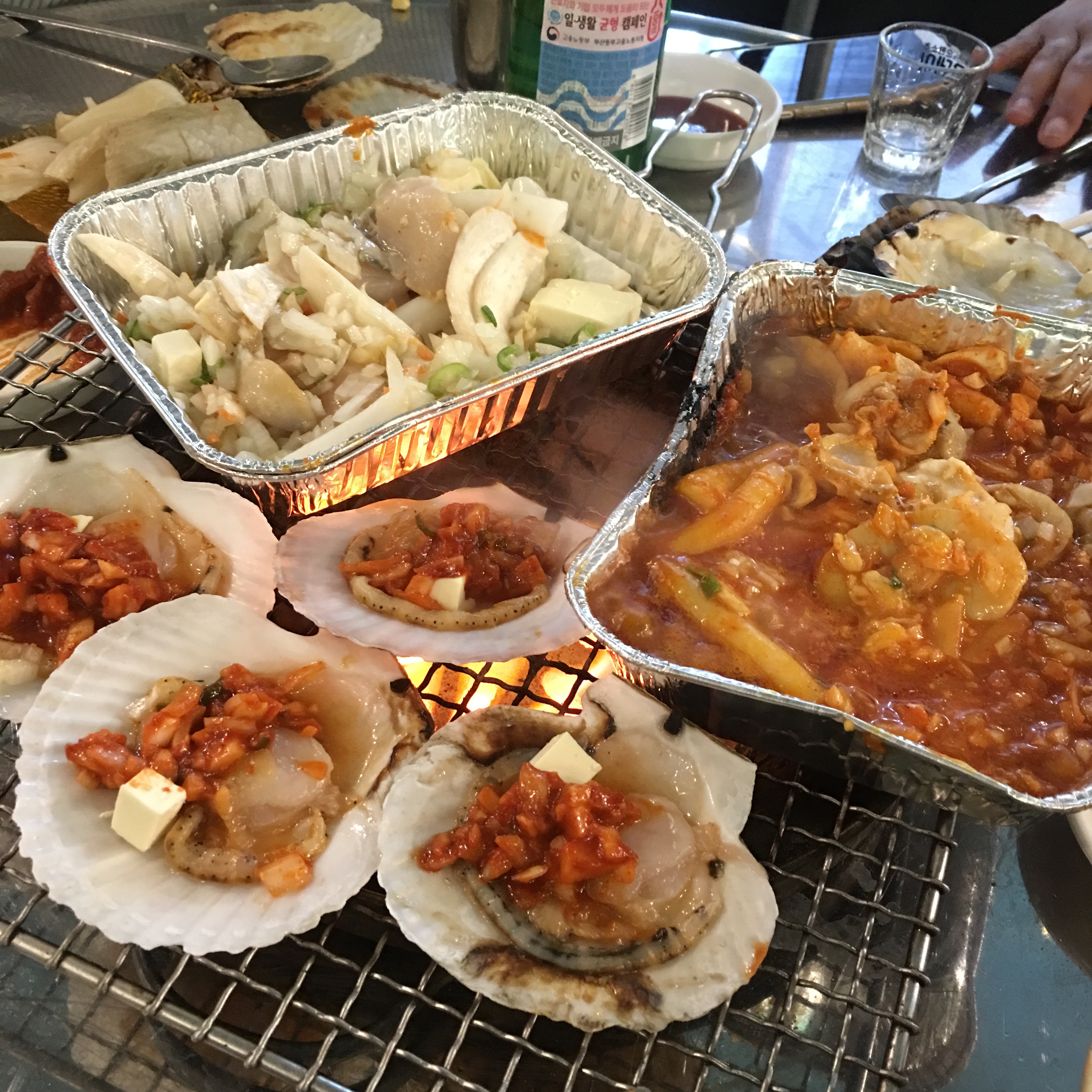 코난 조개구이장어구이 반려동물 동반 애견카페