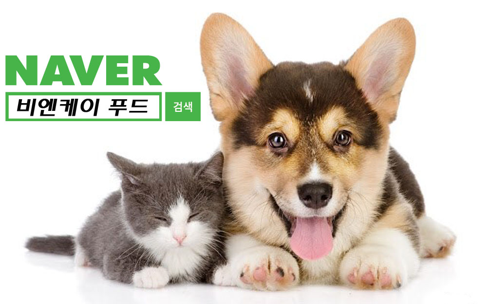 비엔케이푸드