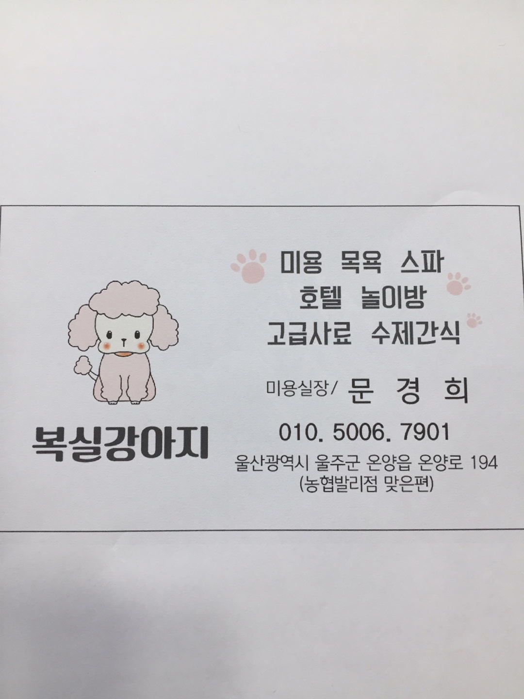 남창애견샵 복실강아지 — 울주군