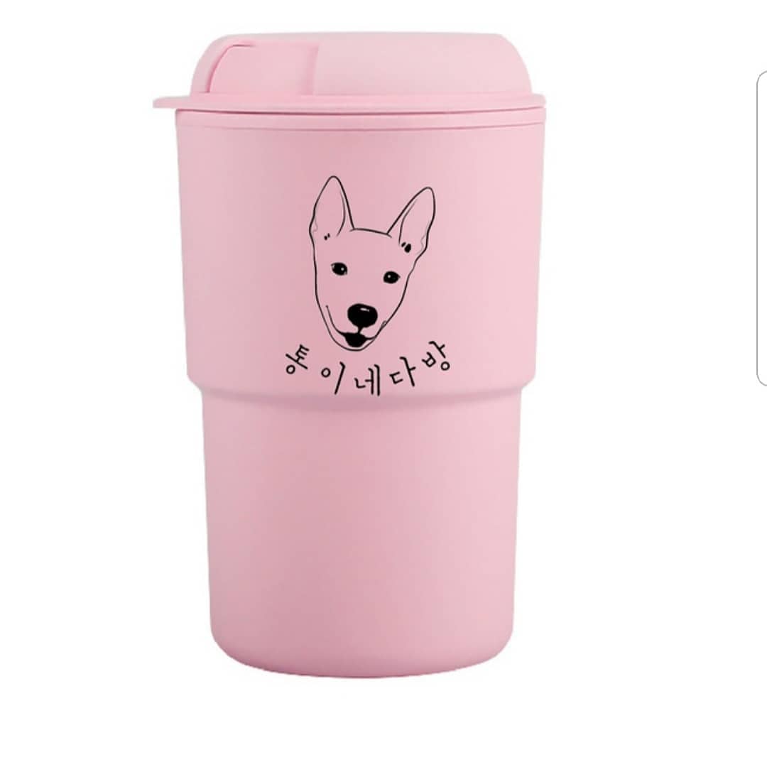 통이네다방 반려동물 동반 애견카페