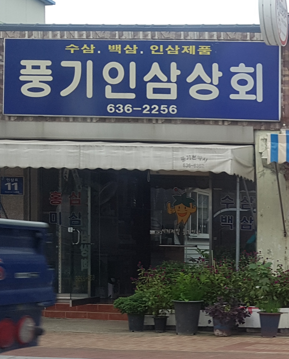 풍기인삼상회