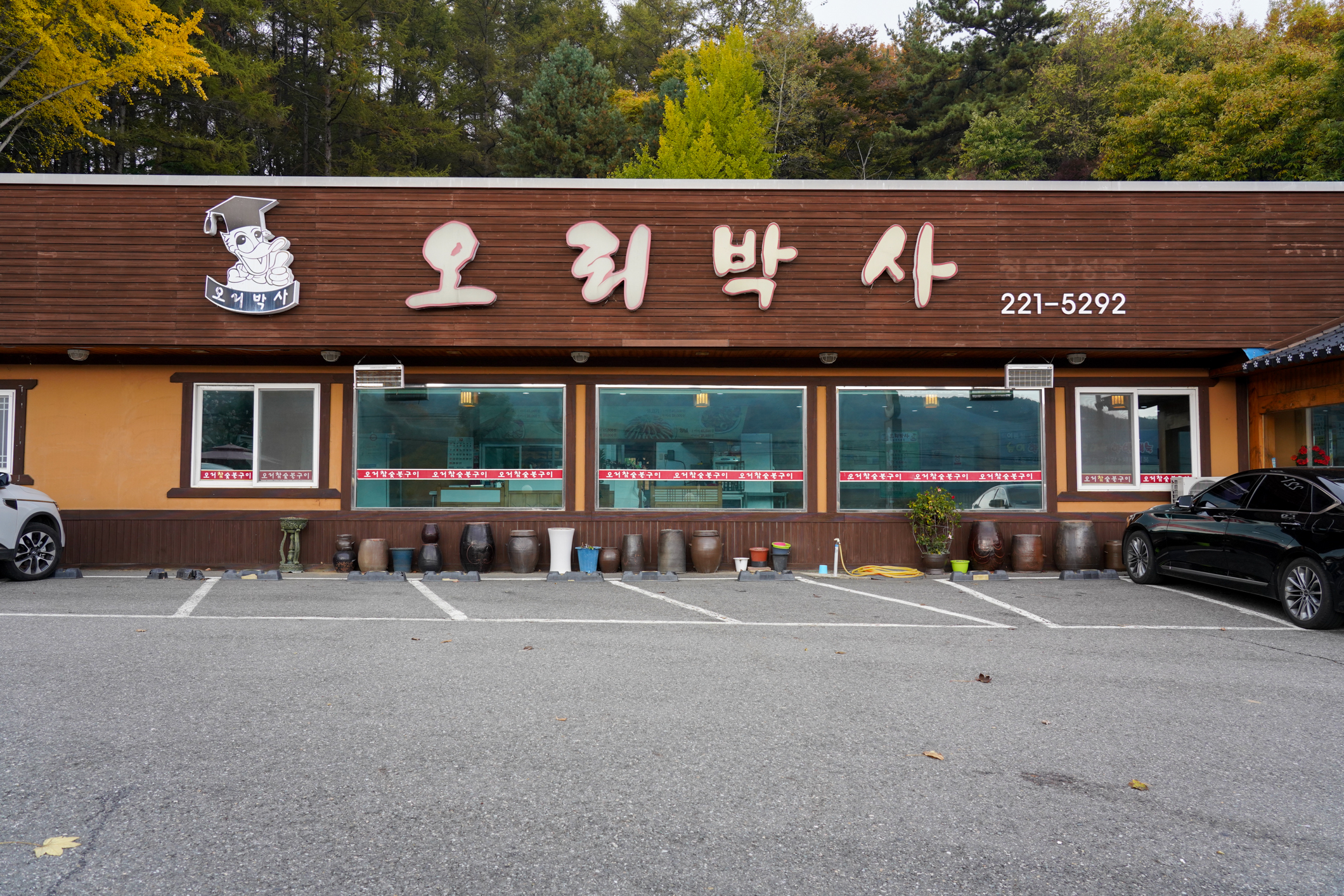 낭성오리박사 대표 이미지