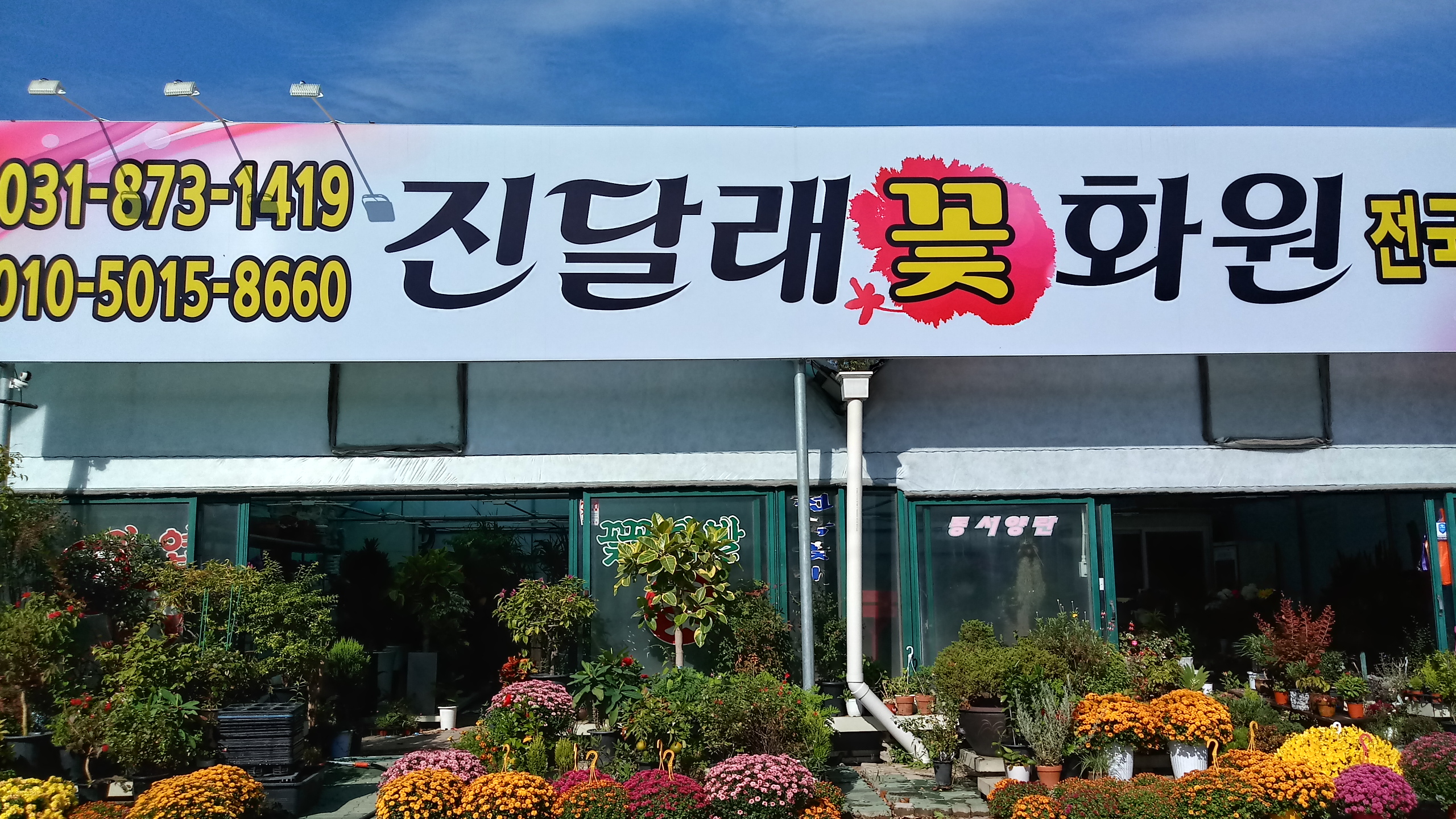 진달래꽃화원