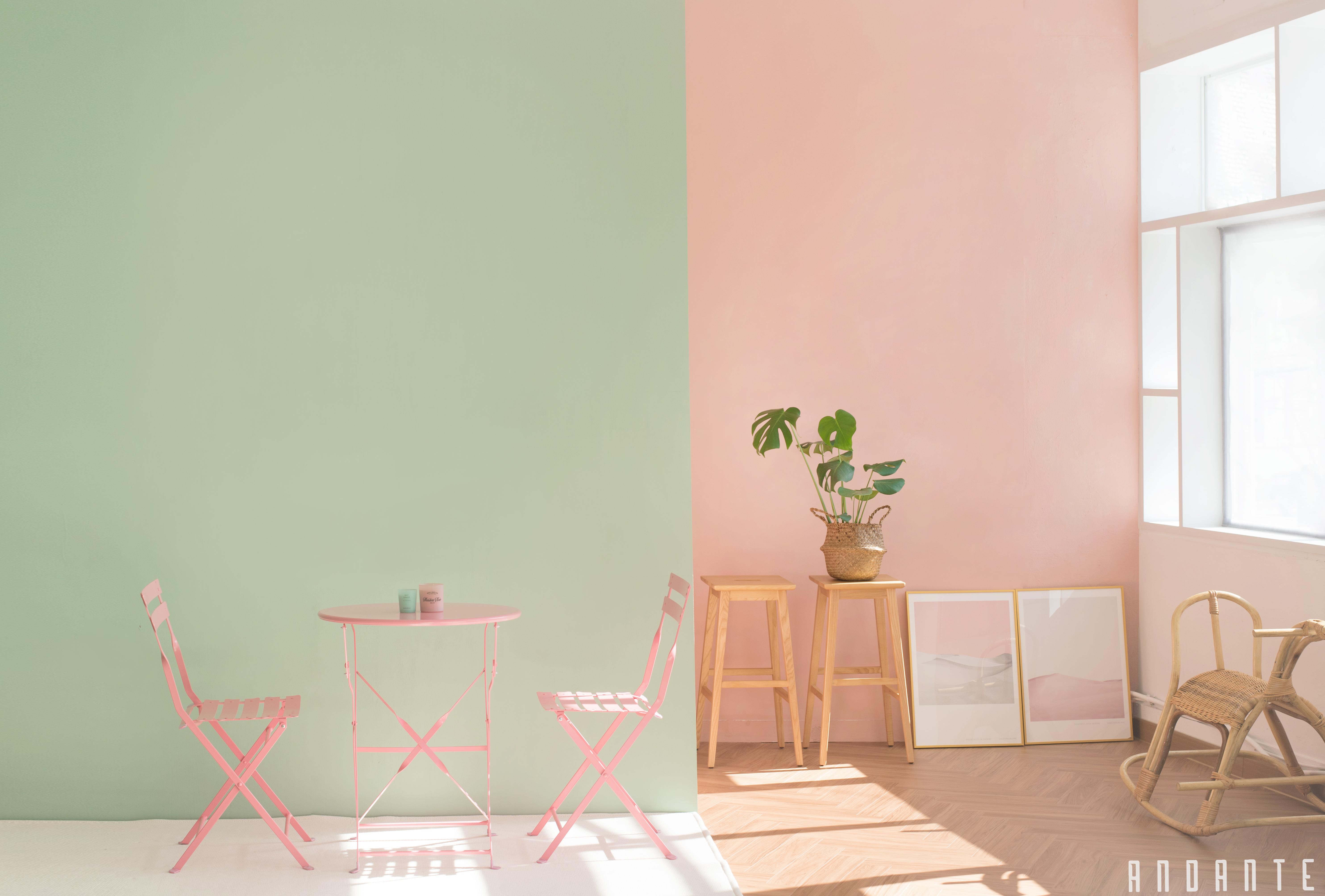 안단테사진관 대표 이미지