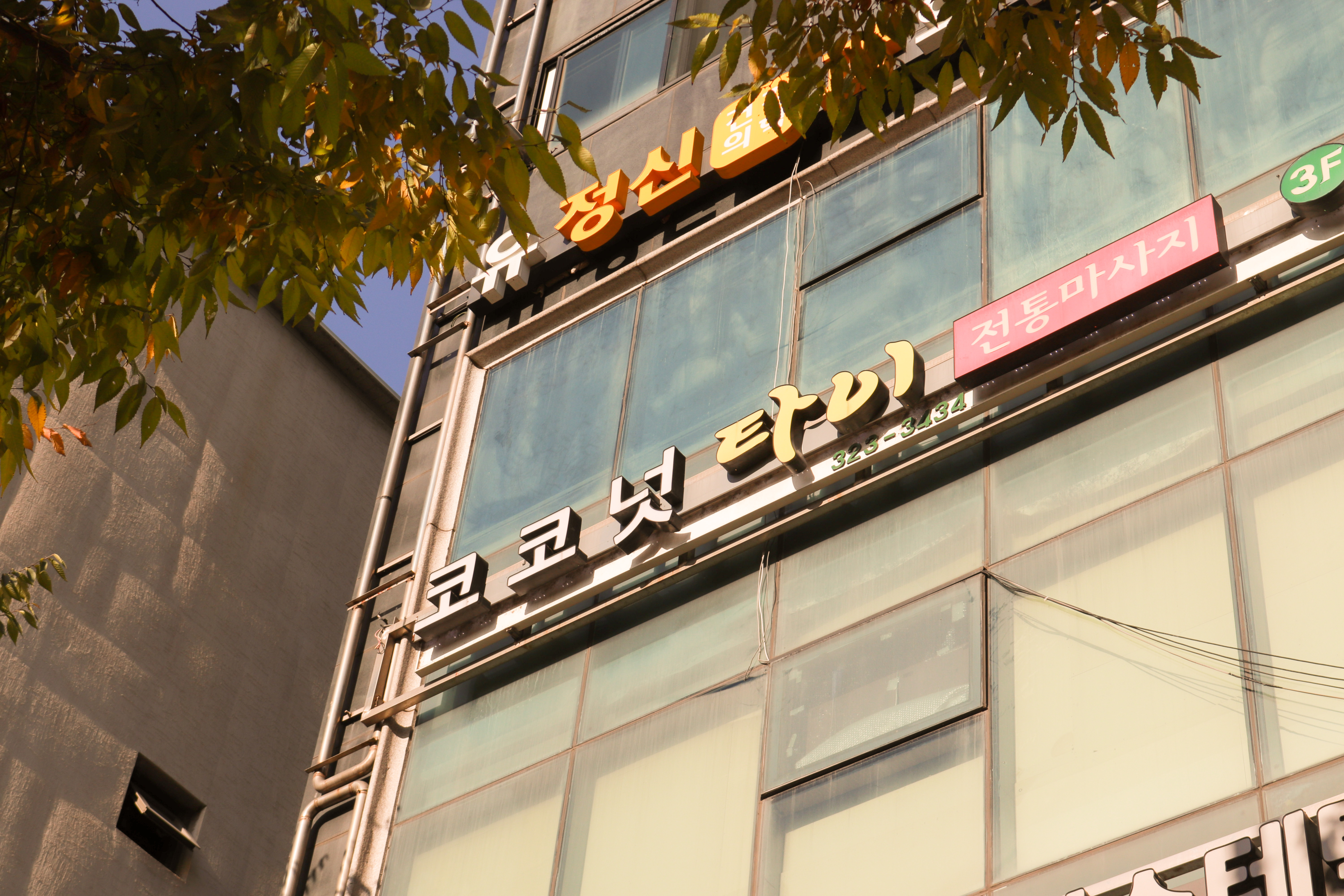 코코넛타이마사지 photo 8