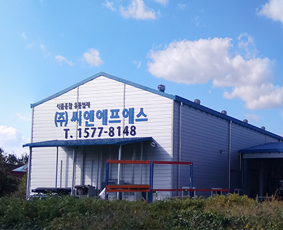 씨엔에프에스