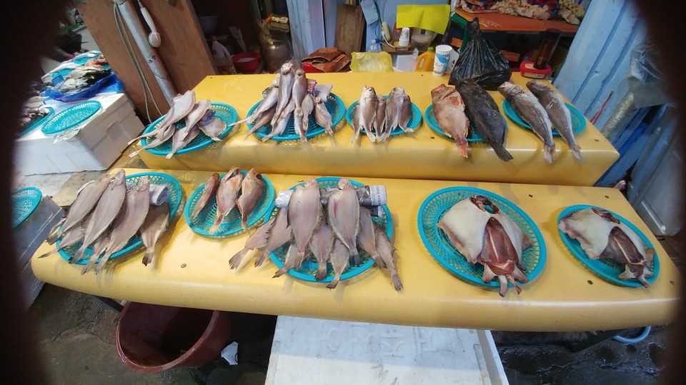 윤서네 생선가게