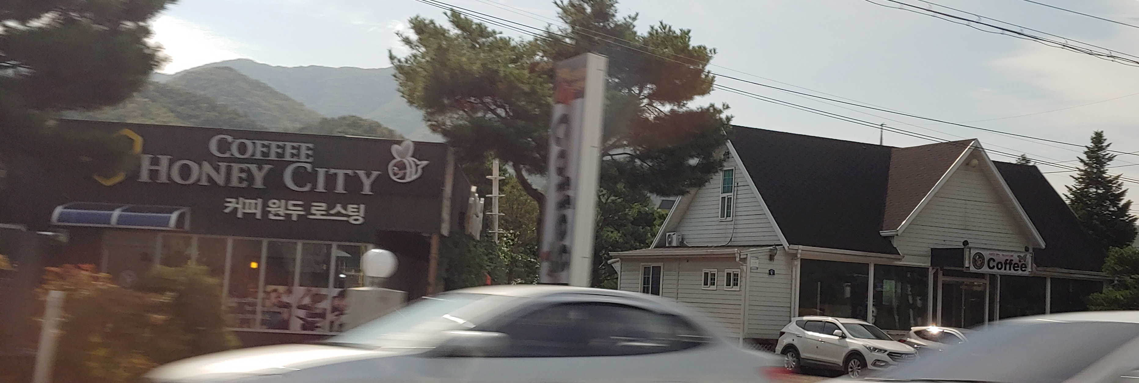 허니시티