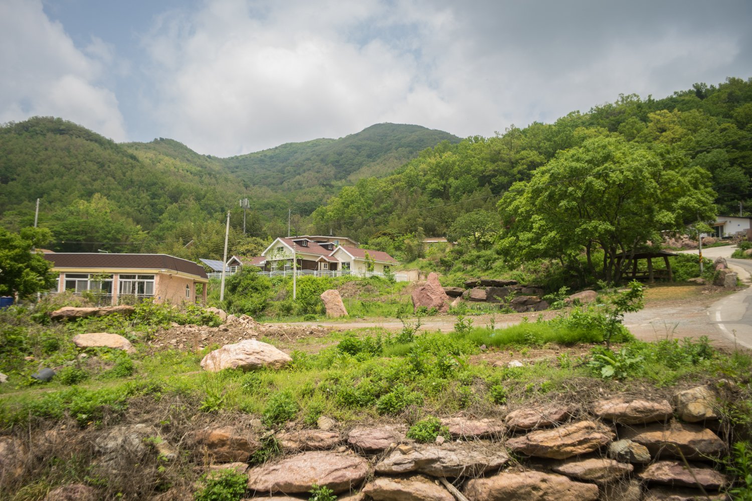 신유토토종약초영농조합법인