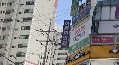 회룡한의원
