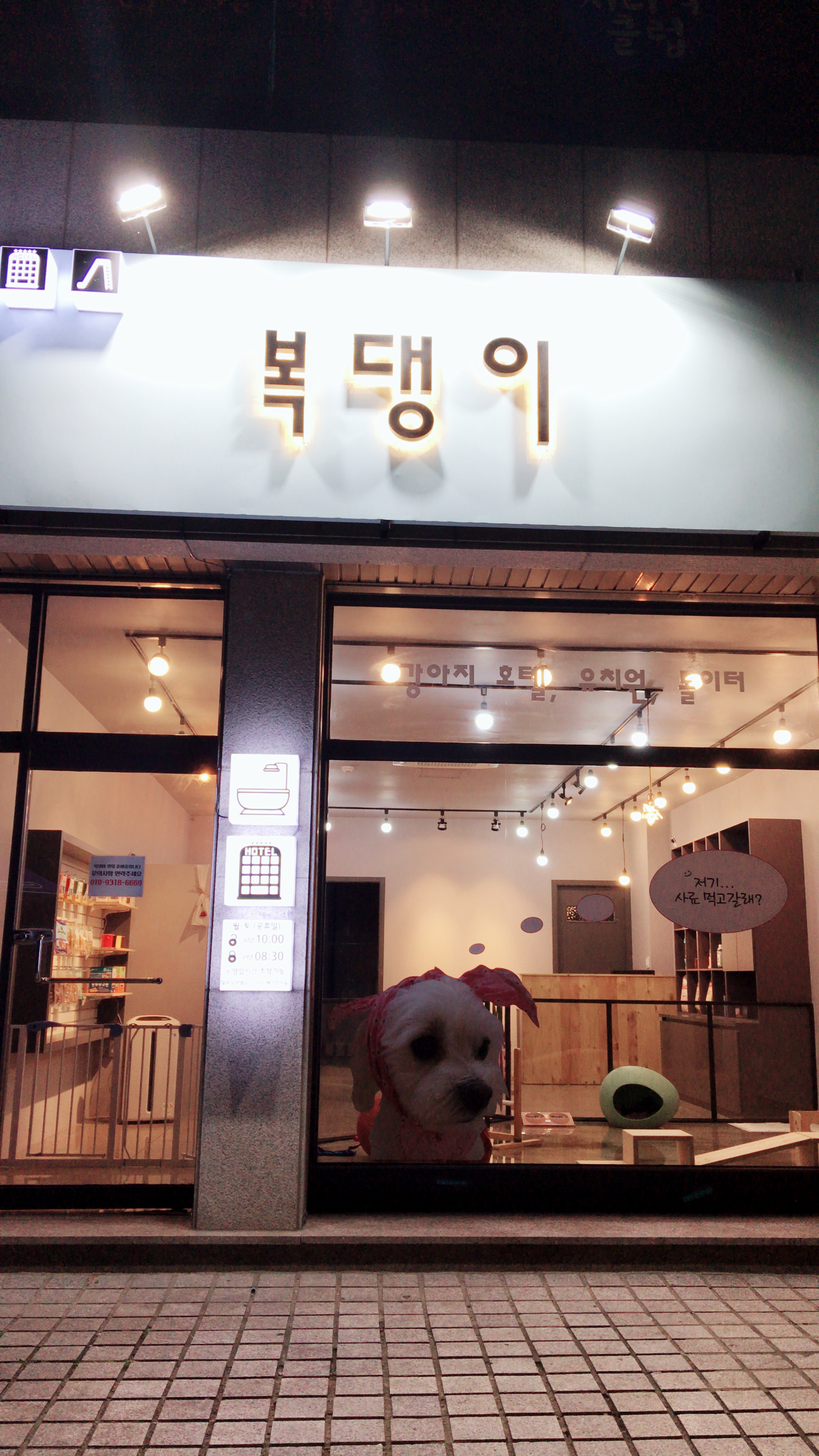 복댕이애견호텔 대표 이미지