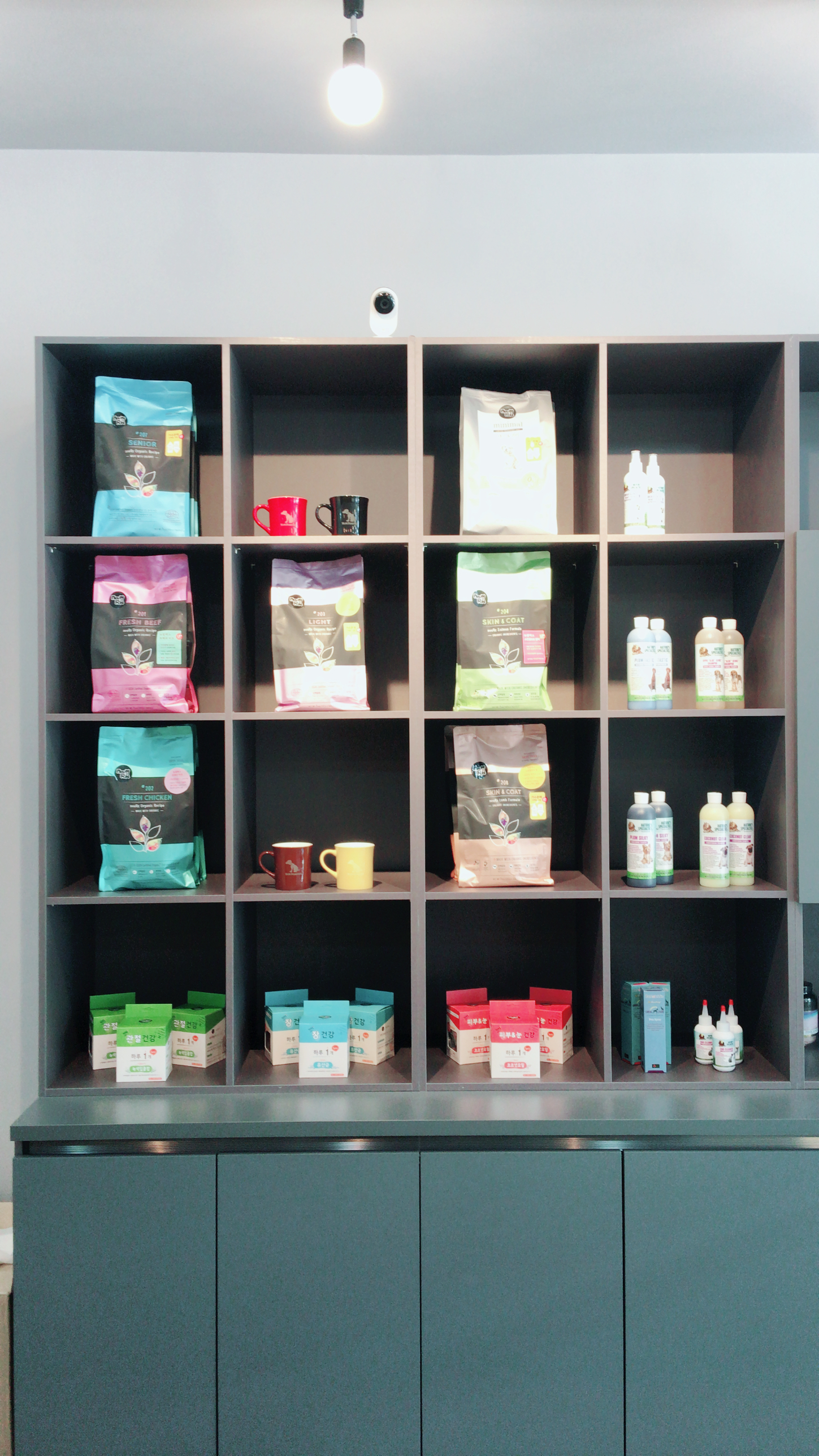 복댕이애견호텔 대표 이미지