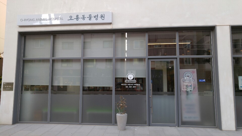 오룡애견미용