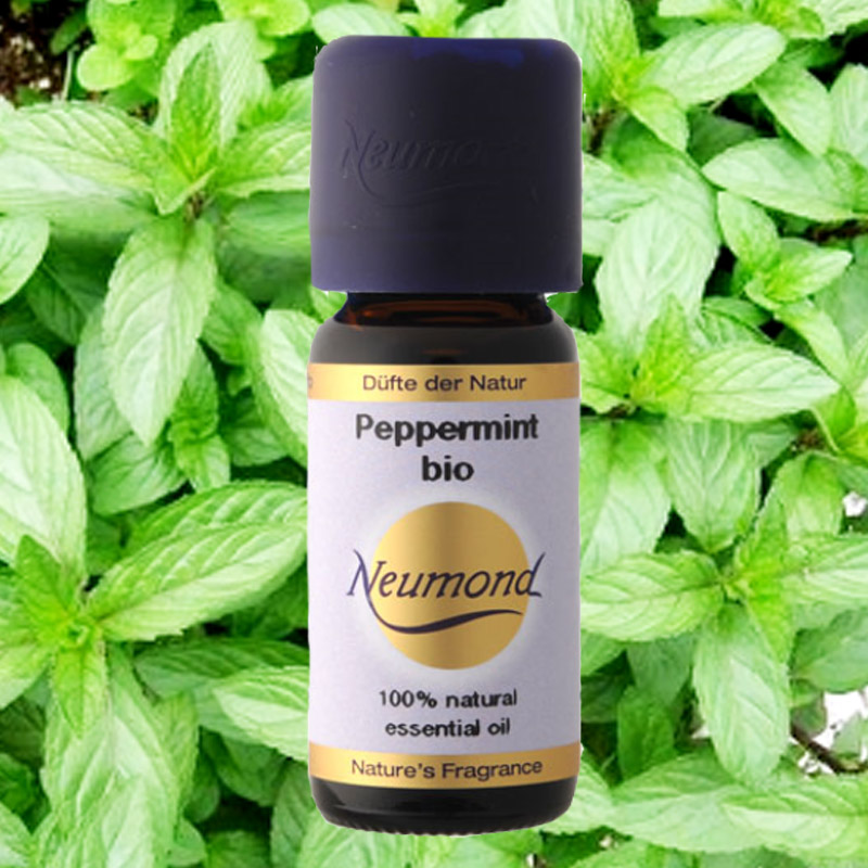 나우리코칭 대표 이미지