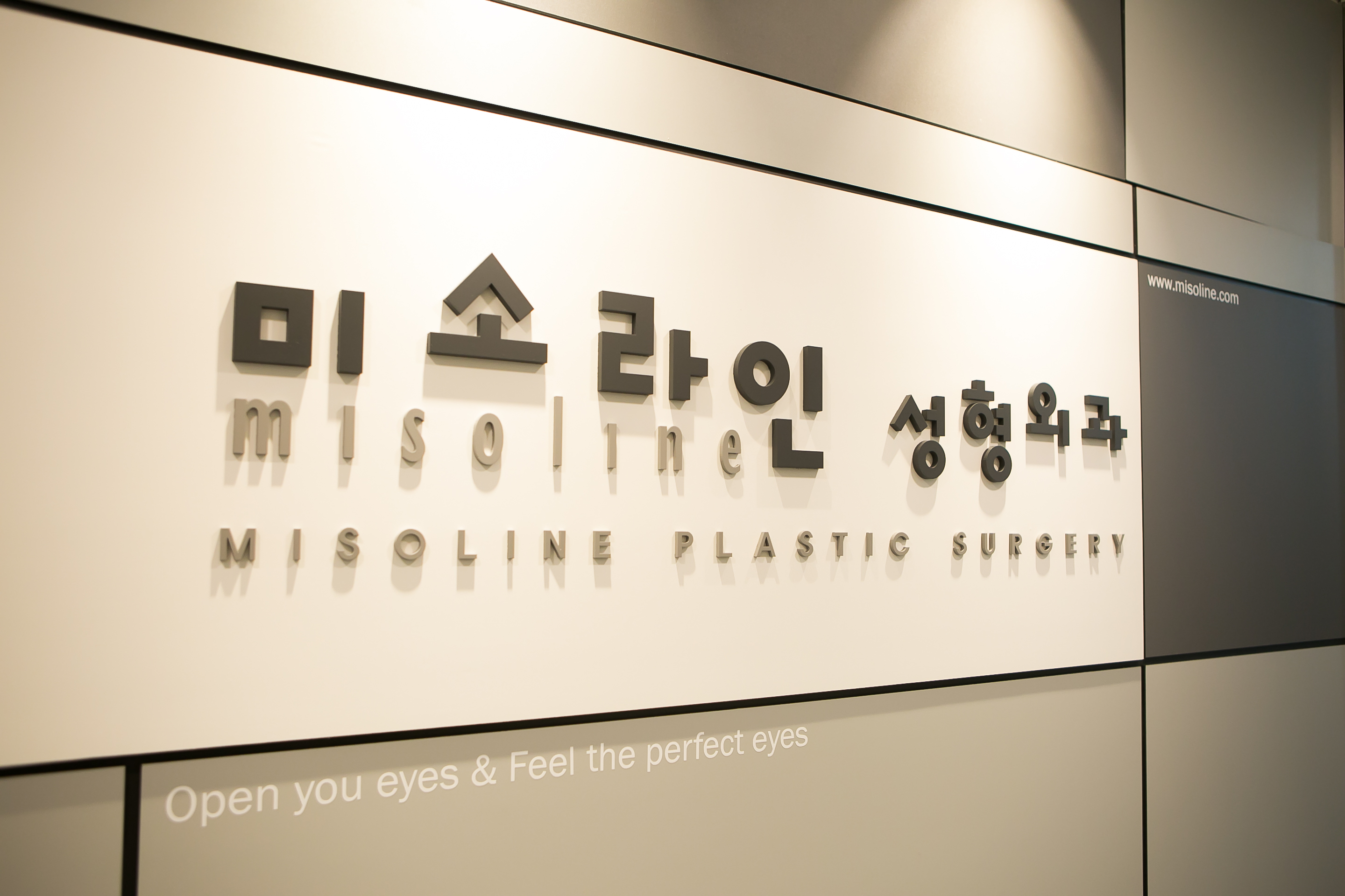 미소라인성형외과의원 대표 이미지