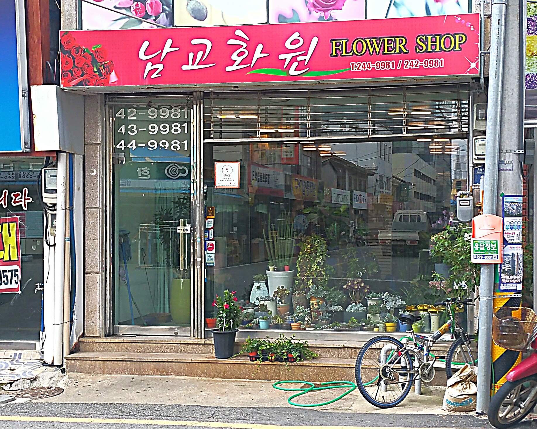 남교화원