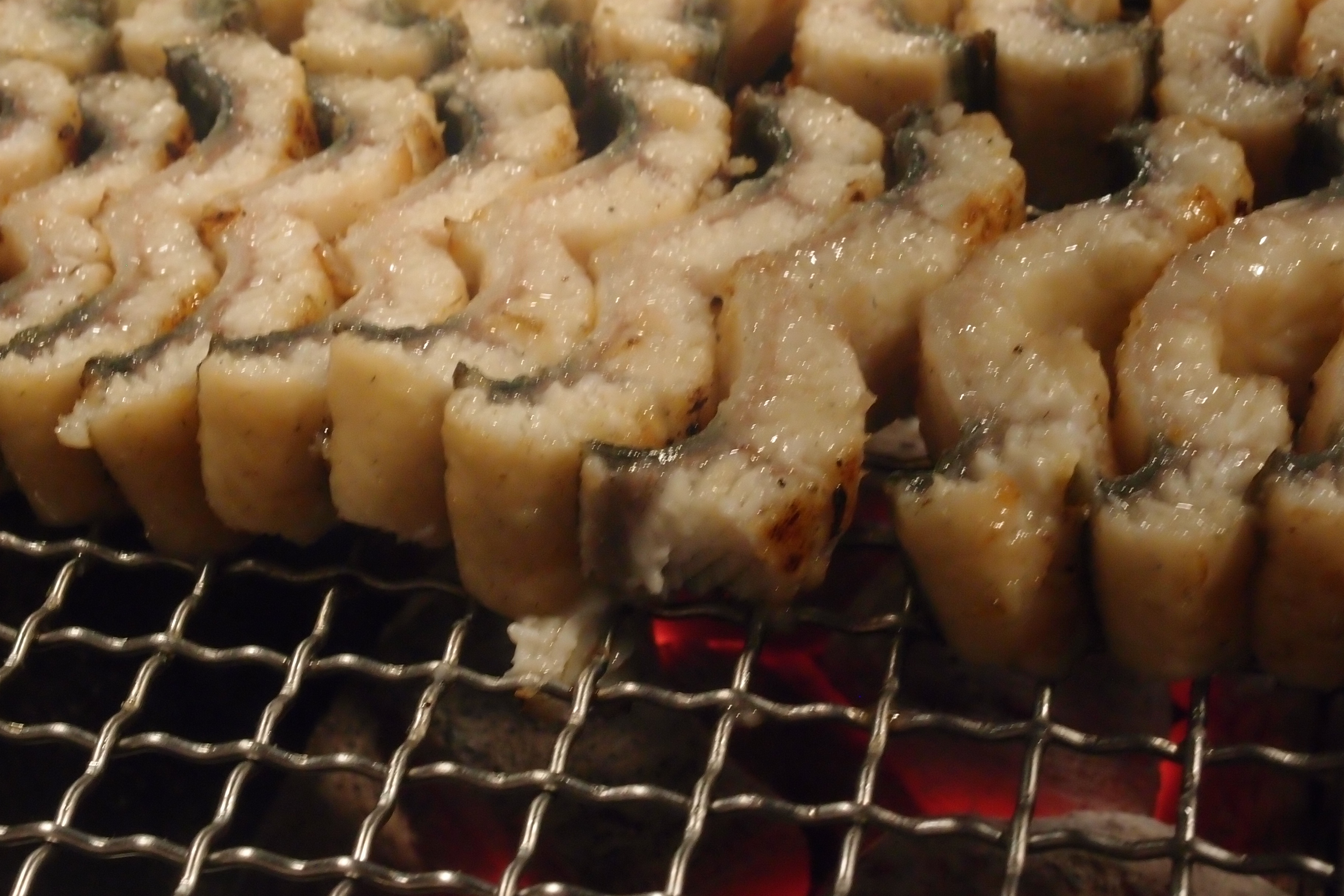 장군장어 대표 이미지