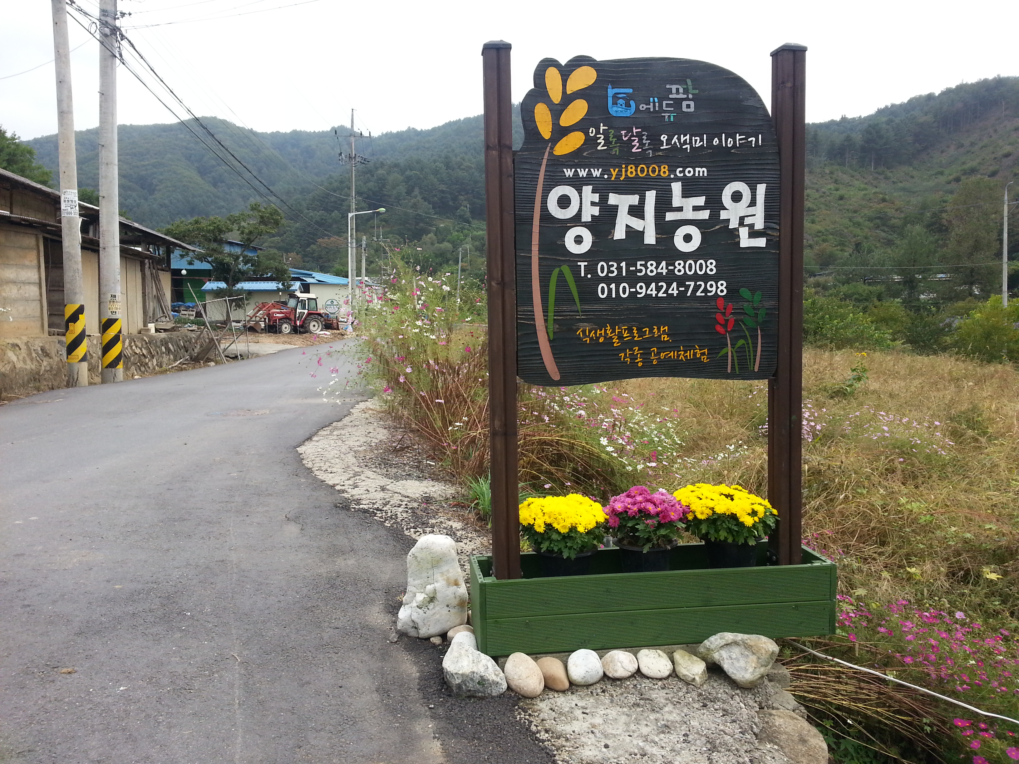 양지농원
