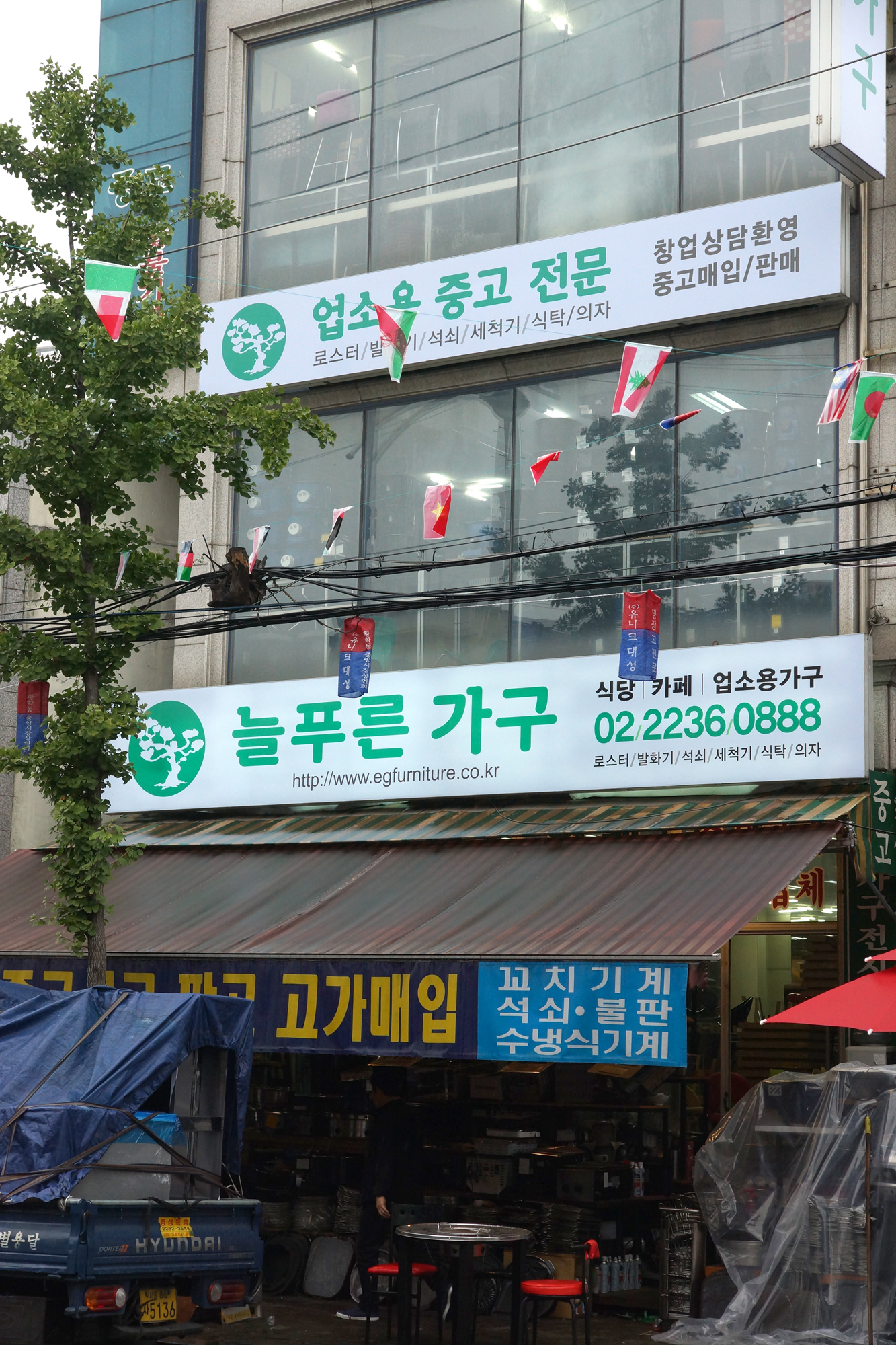 늘푸른가구왕