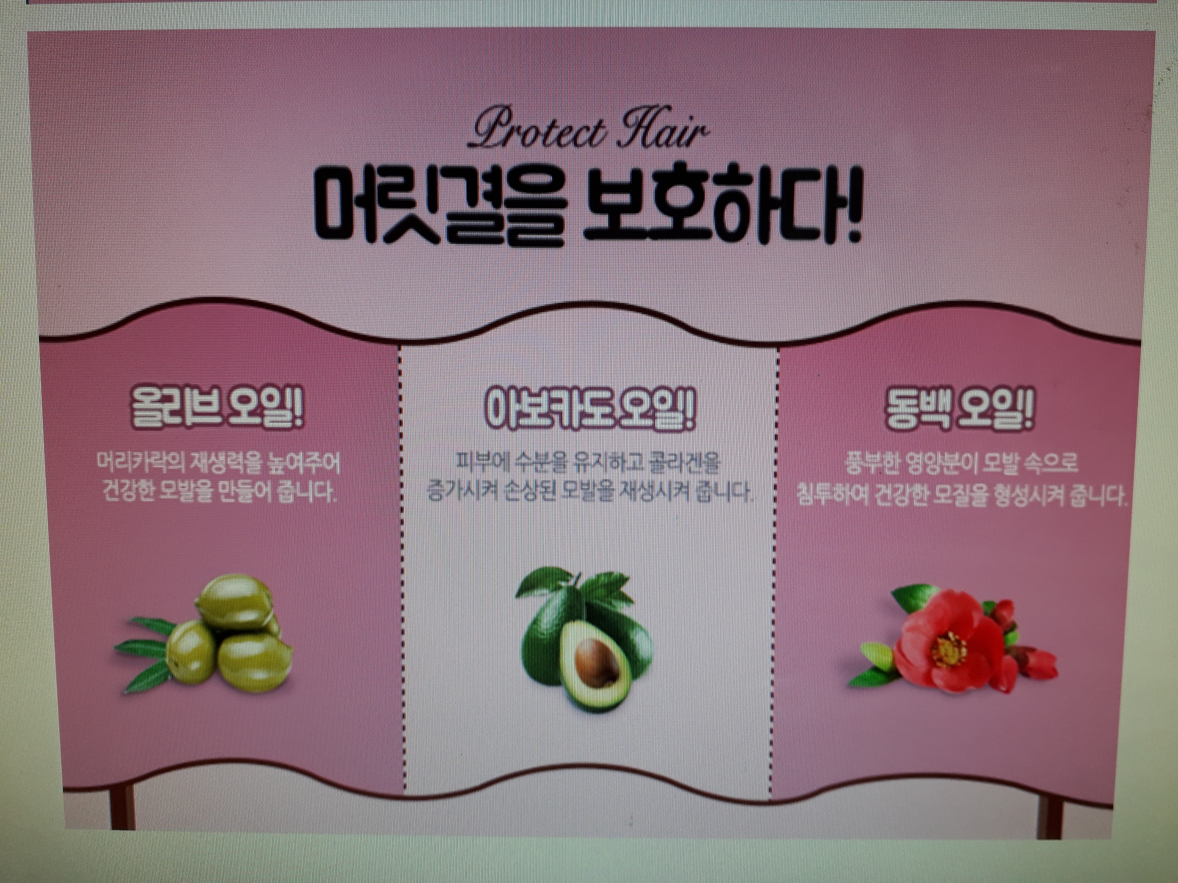 옻 안타는 천연염색 불광점