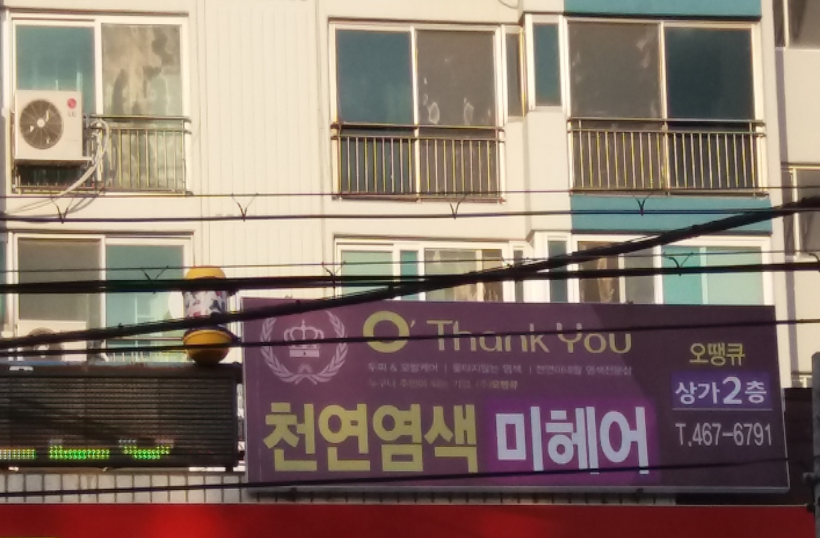 오땡큐 천연염색 미헤어