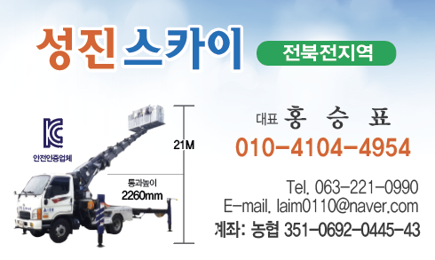 성진스카이차