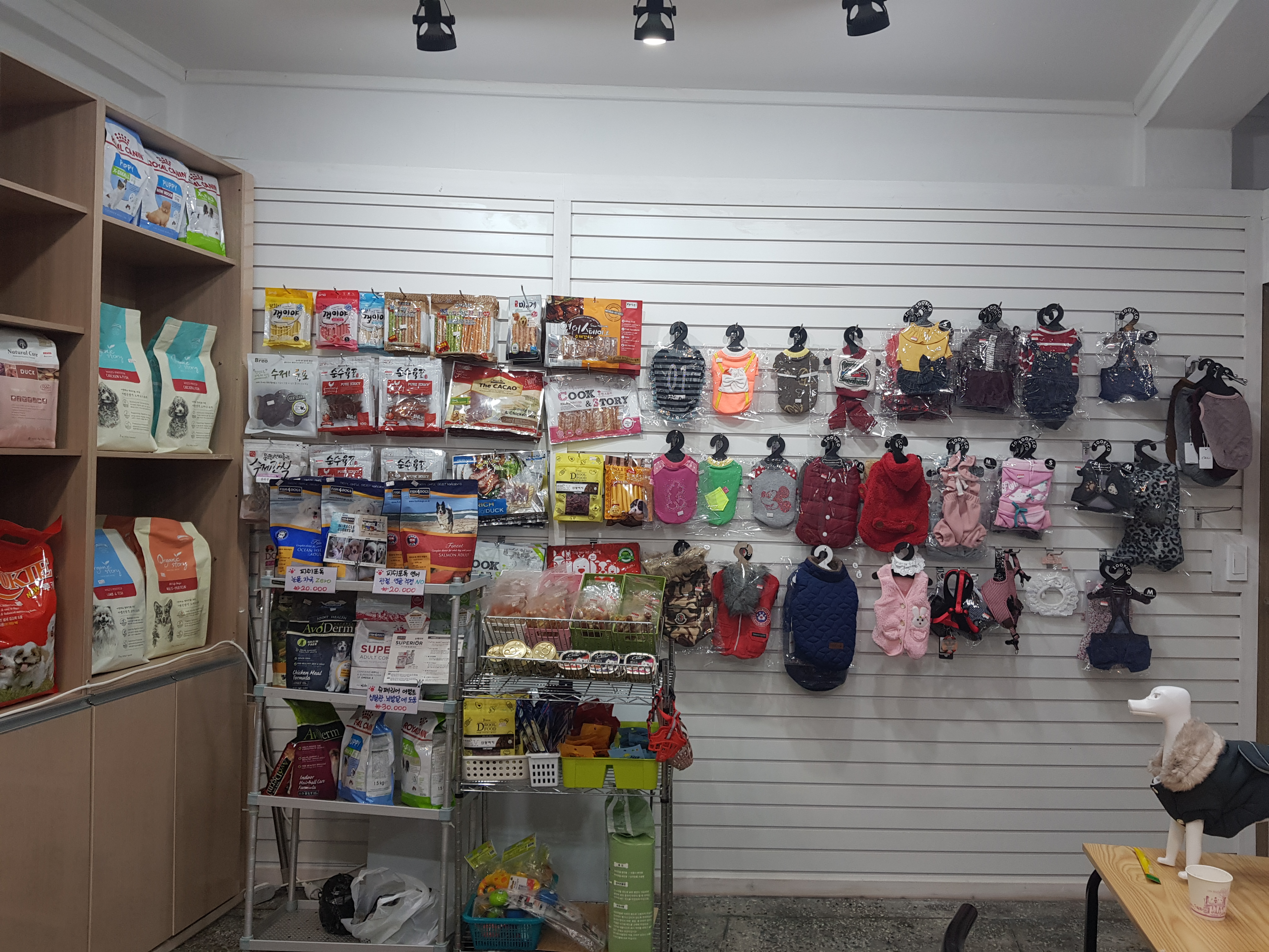 강아지똥 대표 이미지