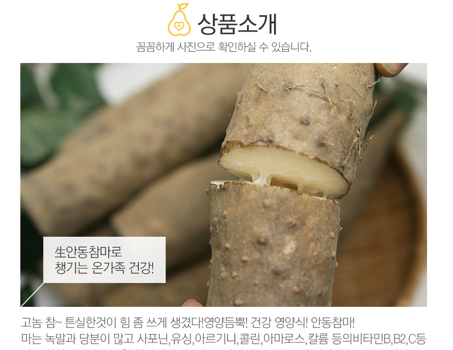 안동사랑농원