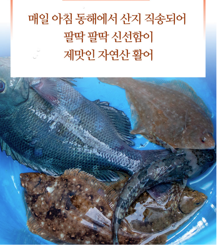 자연산회