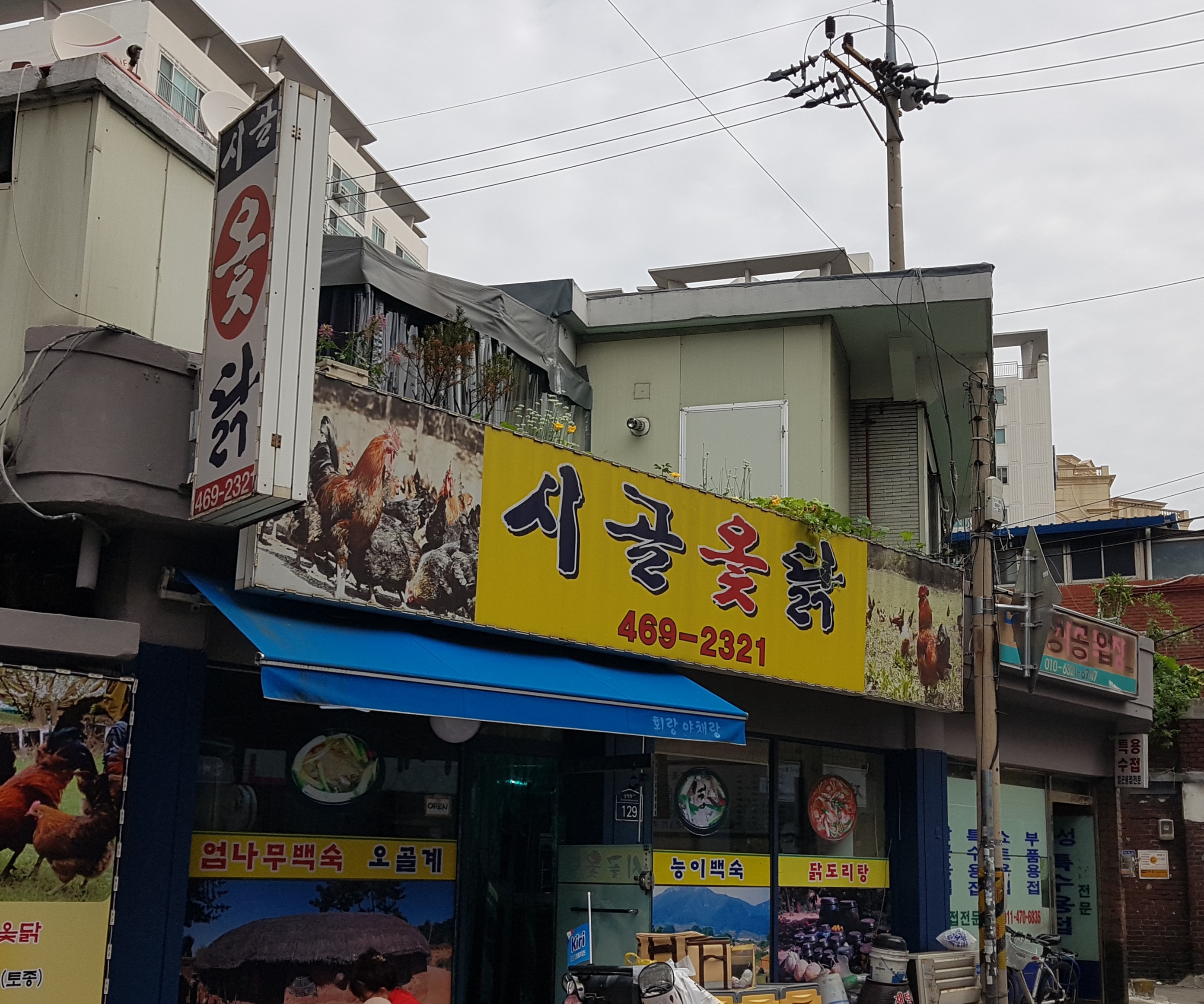 시골옻닭