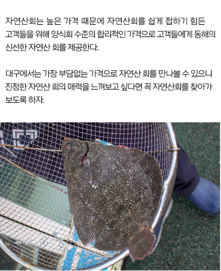 자연산회