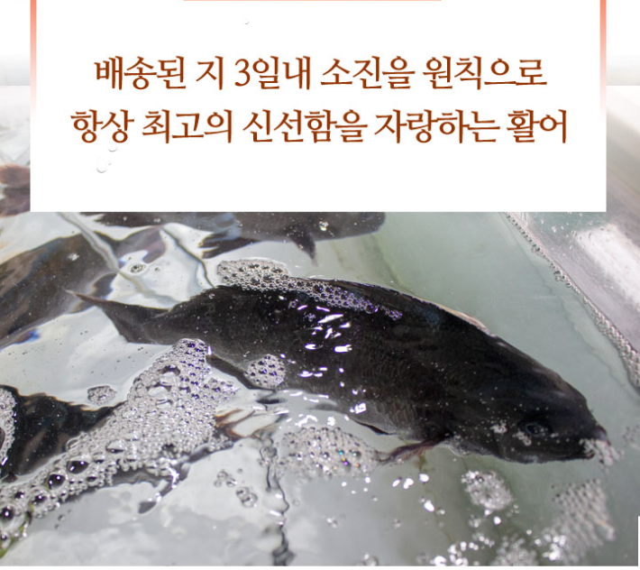 자연산회