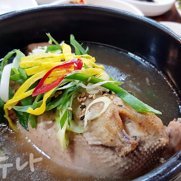 황금오리
