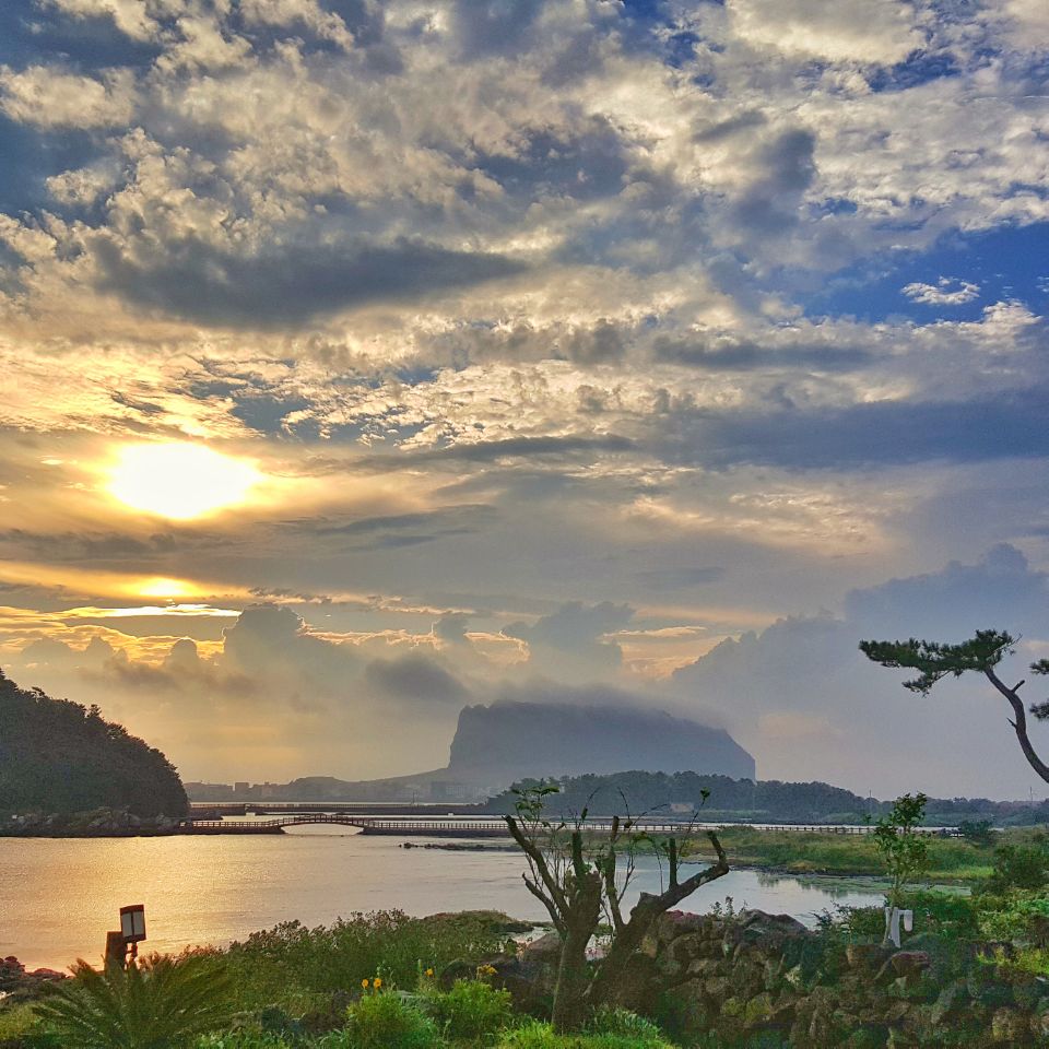 오조숙녀Sea 5