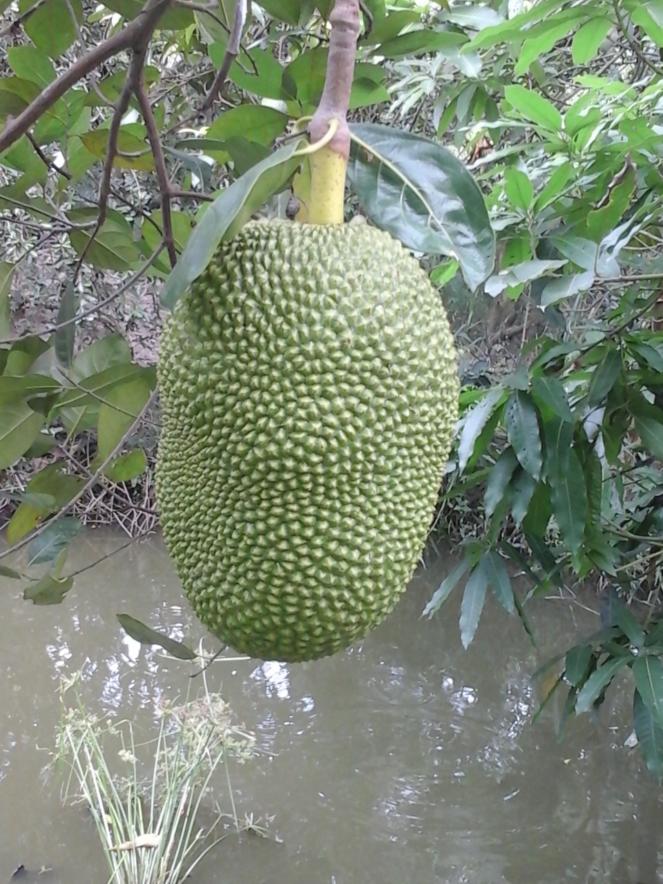 한베식당 대표 이미지