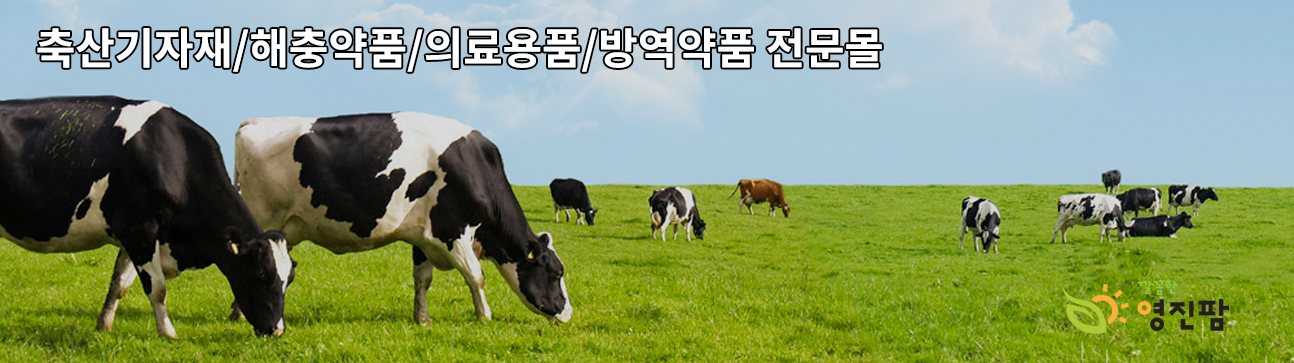 영진팜