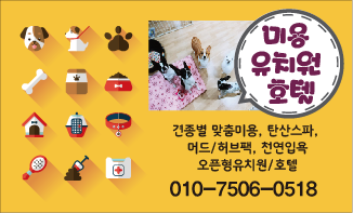 이레네 강아지 대표 이미지