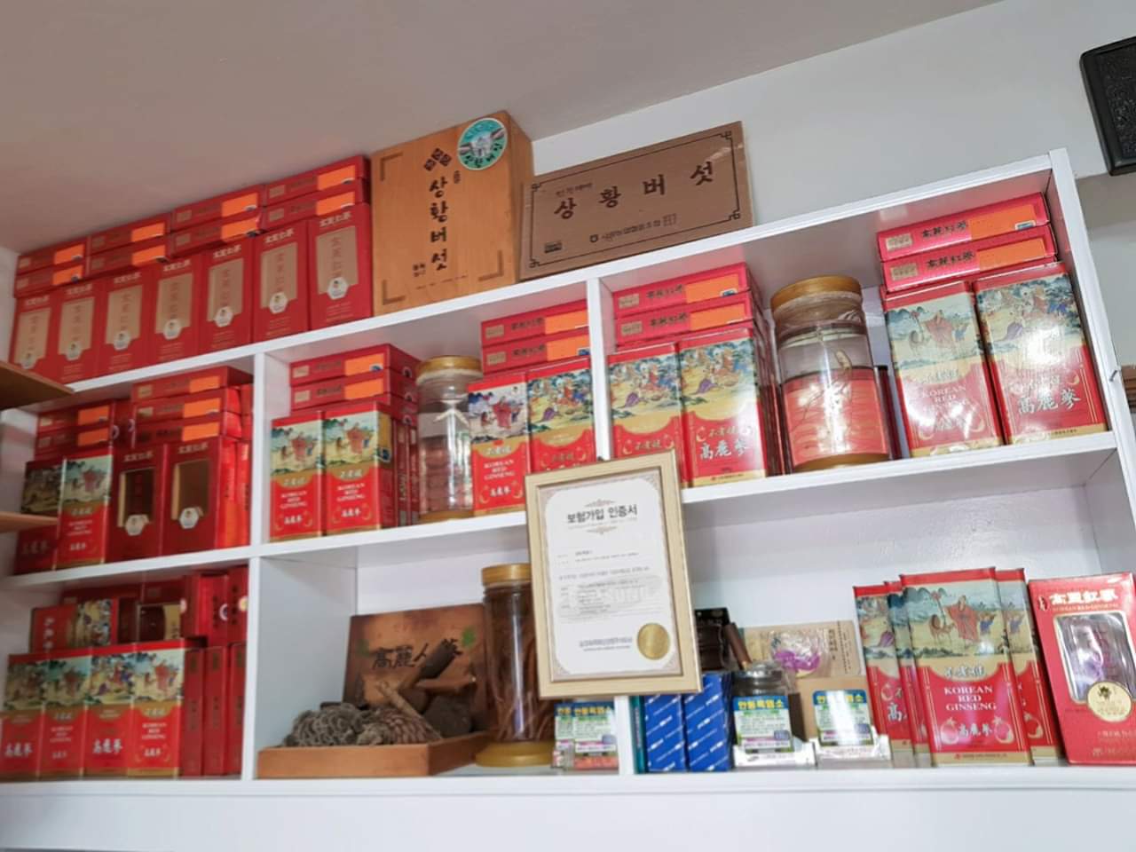 안동흑염소