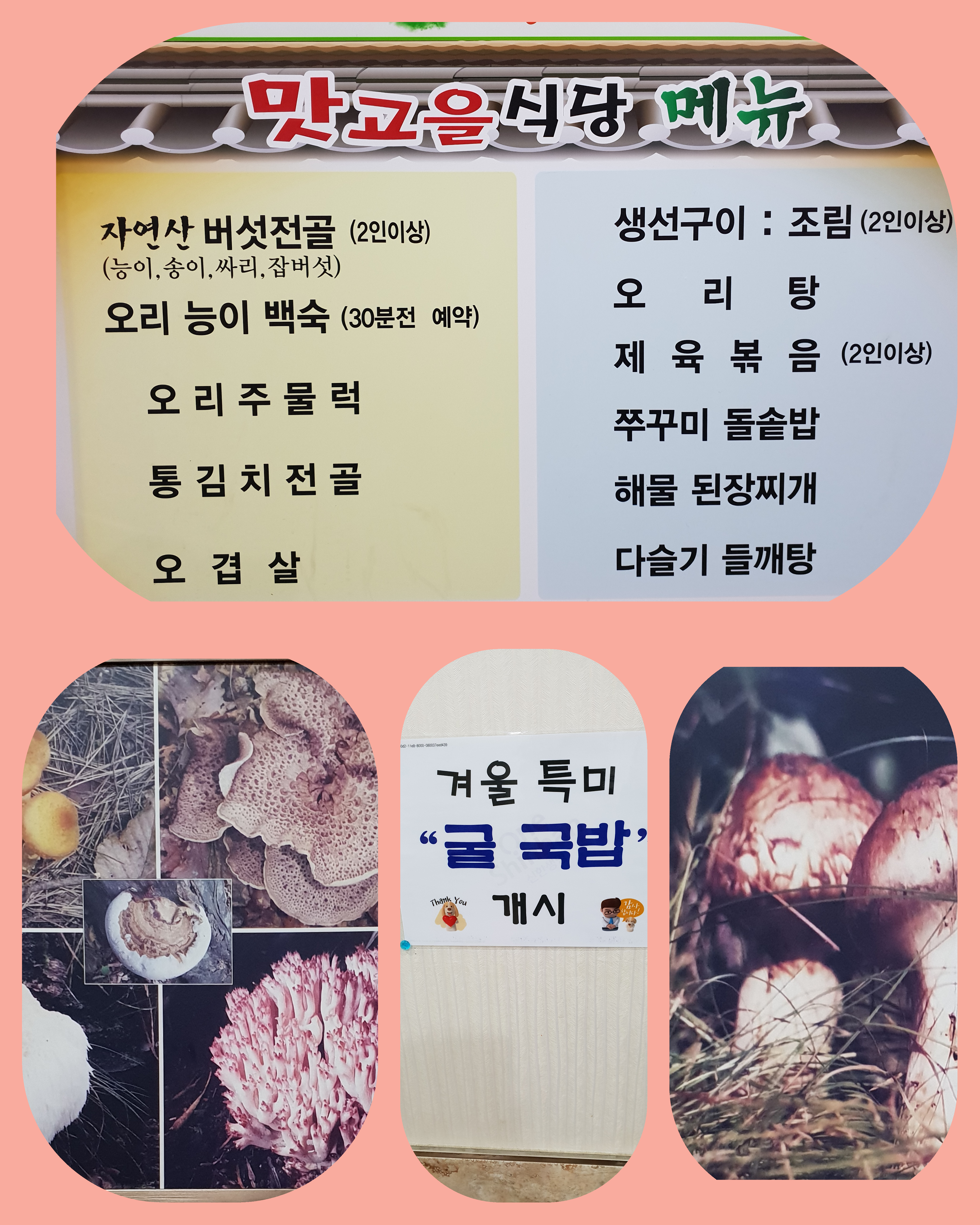 맛고을