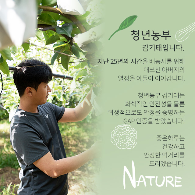 농업회사법인 하나