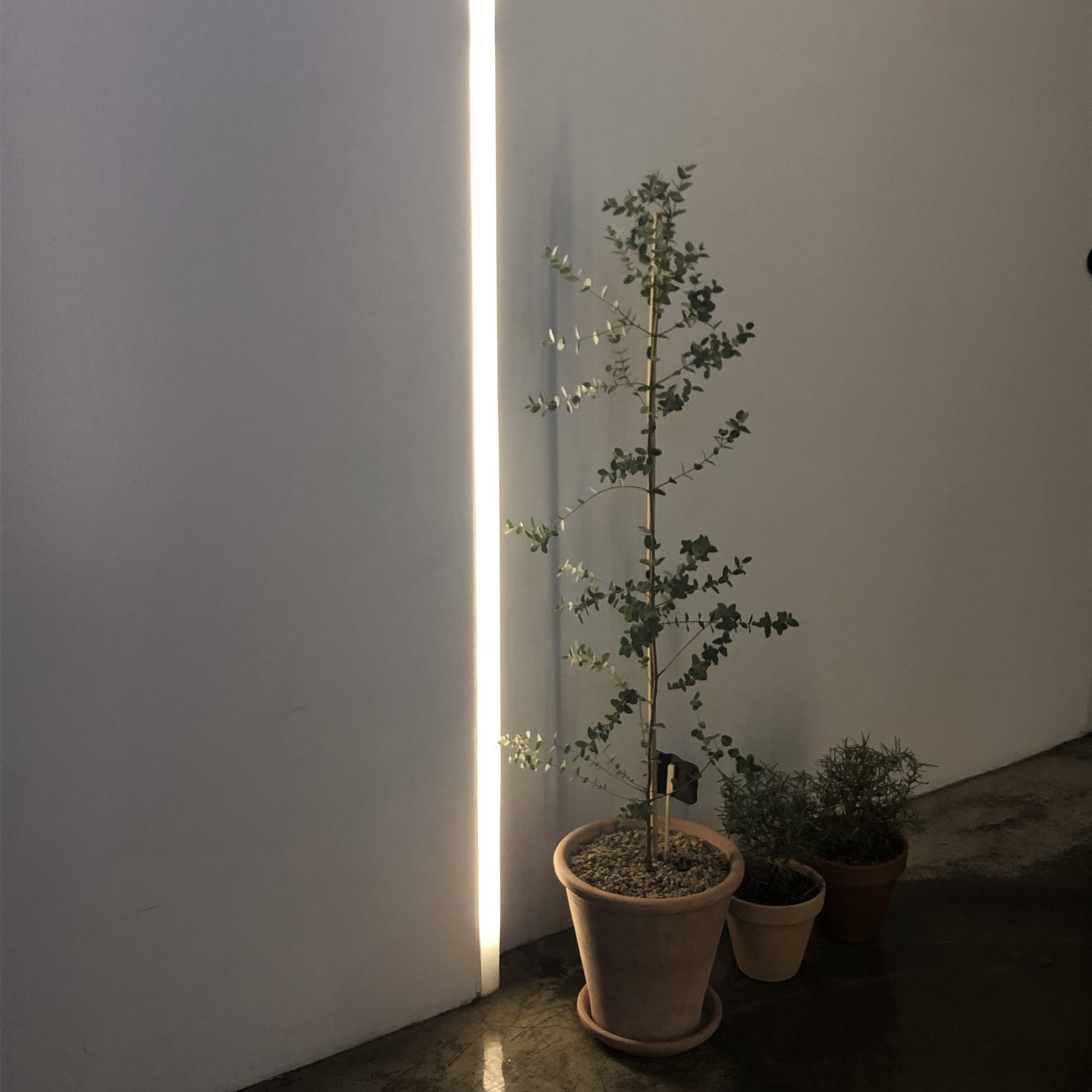 문헤일로 photo 7