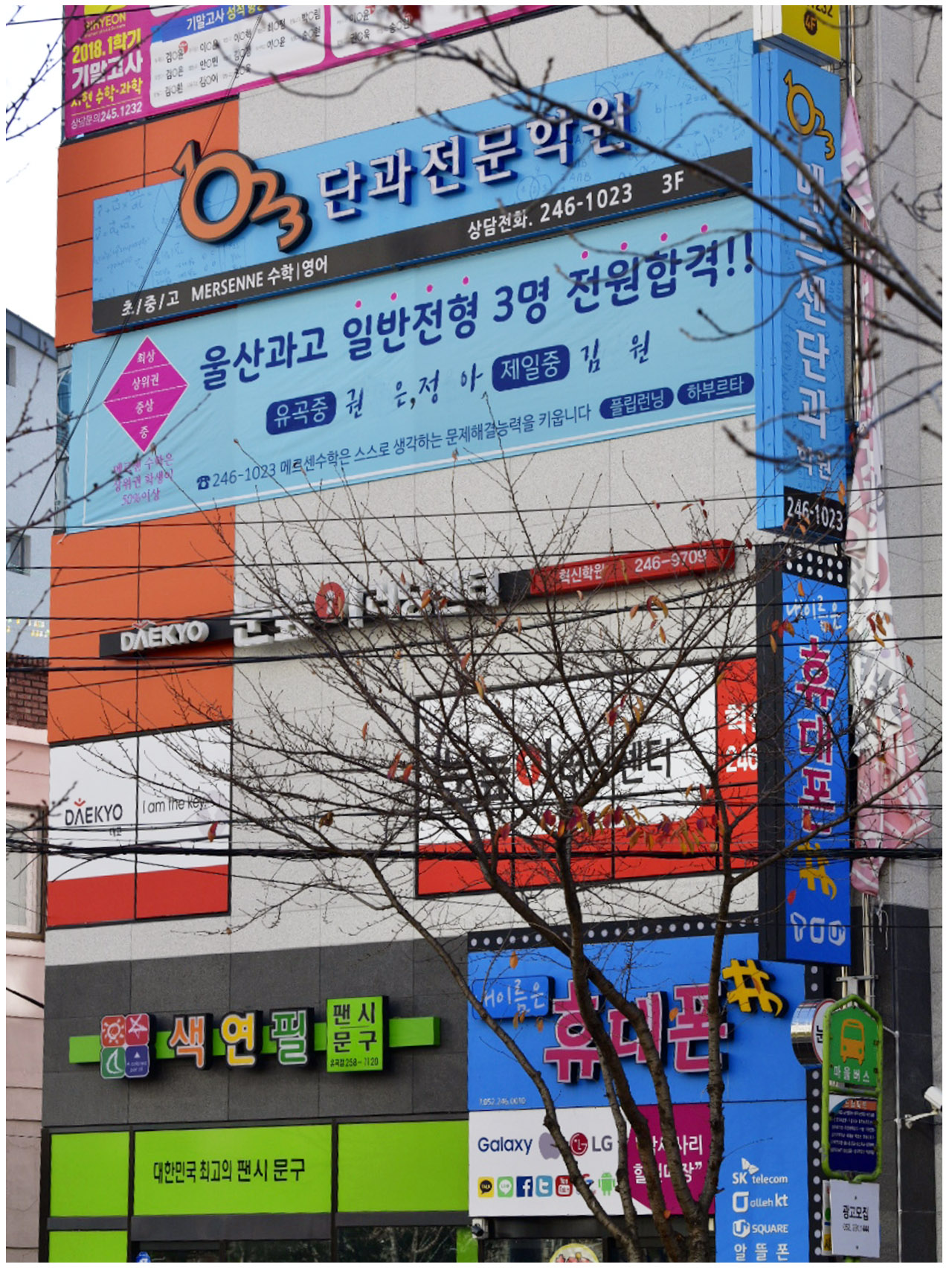 1023단과메르센수학